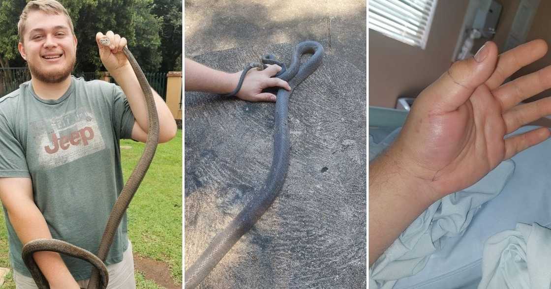 Snake Catcher, 21, Black Mamba, Bite, Limpopo Snake Catcher, 21, Black Mamba, Bite, Limpopo