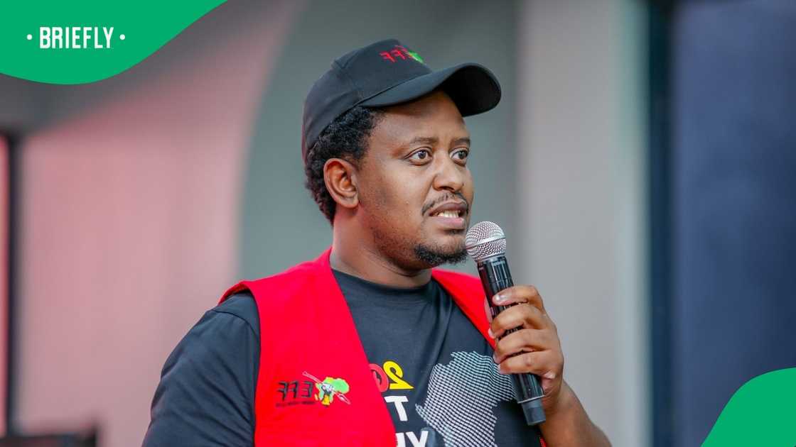 The Economic Freedom Fighters spokesperson Sinawo Thambo slammed Newzroom Afrika The Economic Freedom Fighters spokesperson Sinawo Thambo slammed Newzroom Afrika