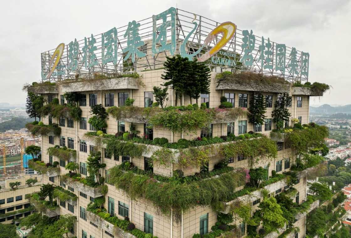Country Garden is one of China's biggest property developers Country Garden is one of China's biggest property developers