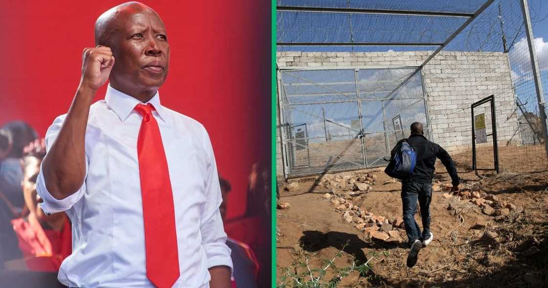 Netizens have urged EFF leader Julius Malema to revise the party's Open Border policy.