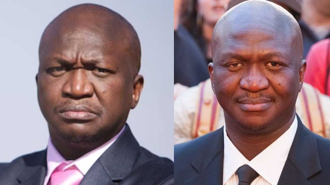 Top 20 South African Actors In Hollywood Actors Who Are Making It Big Top 20 South African Actors In Hollywood Actors Who Are Making It Big