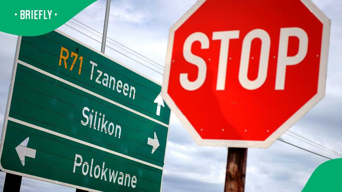 The Polokwane municipality has paid R200million to ghost workers, excessive overtime claims and multiple positions The Polokwane municipality has paid R200million to ghost workers, excessive overtime claims and multiple positions