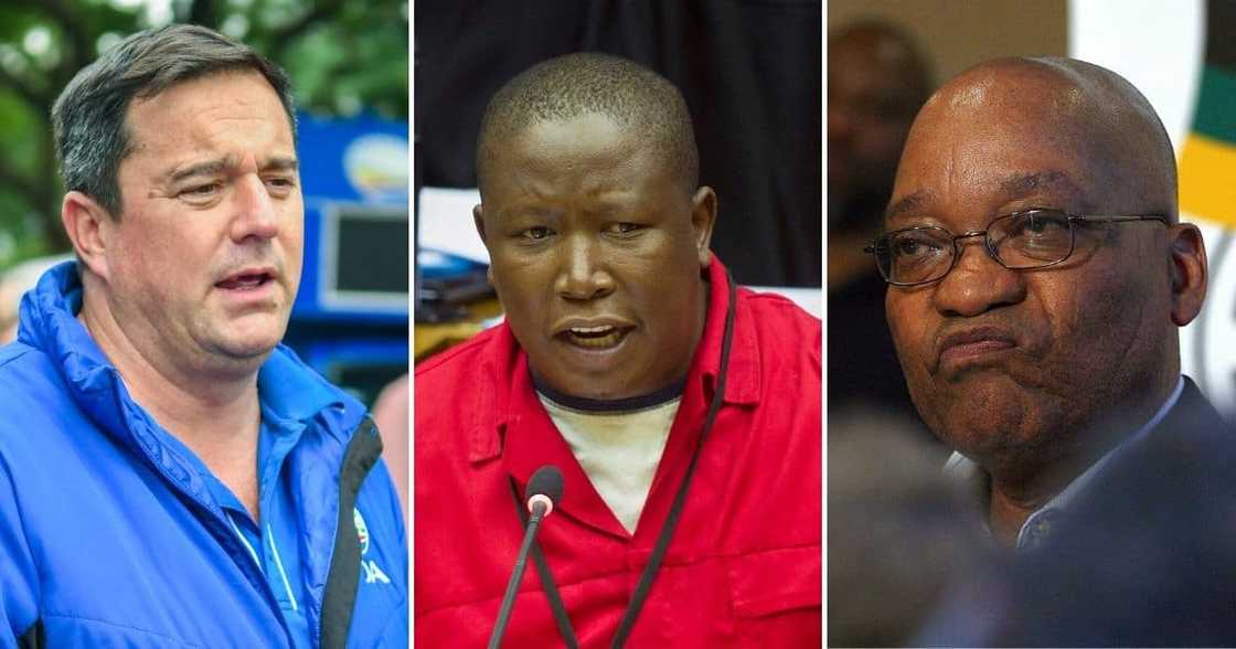 John Steenhuisen, Julius Malema, Jacob Zuma John Steenhuisen, Julius Malema, Jacob Zuma