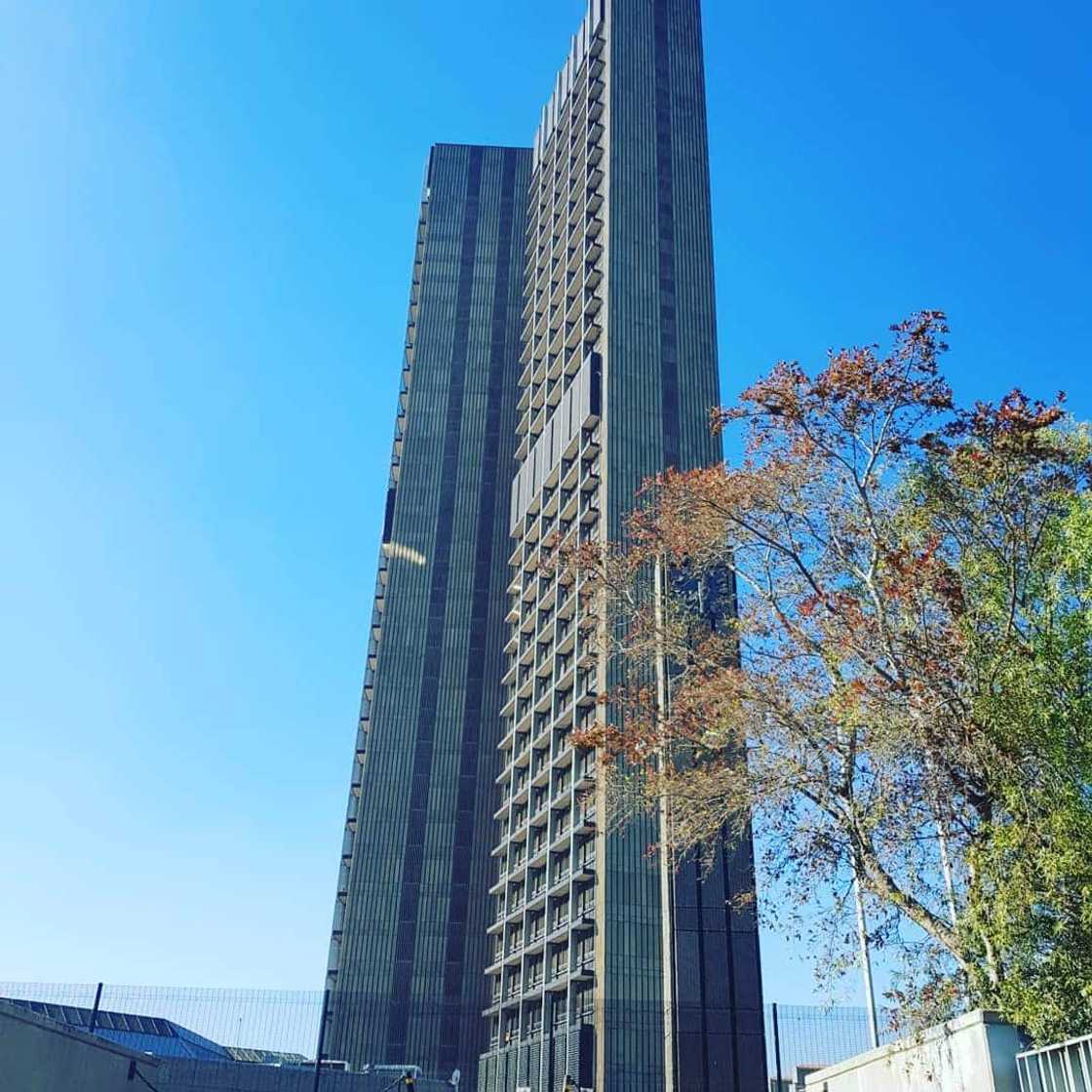 Established South African companies with the largest contribution to the country's economy Established South African companies with the largest contribution to the country's economy