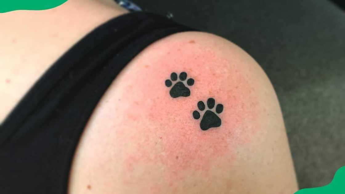 Cat paw prints tattoo Cat paw prints tattoo