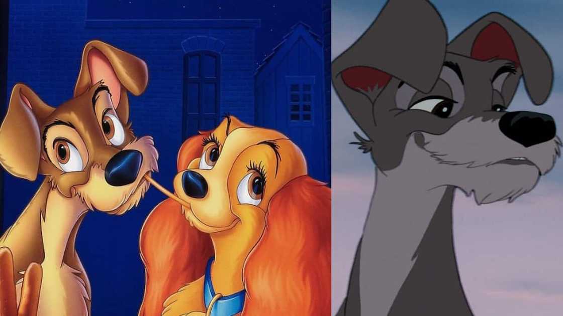 Tramp and Lady from Disney's Lady and the Tramp Tramp and Lady from Disney's Lady and the Tramp