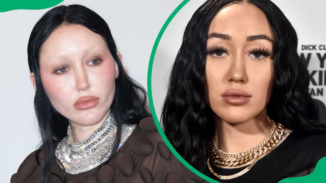 Noah Cyrus' eyebrows Noah Cyrus' eyebrows