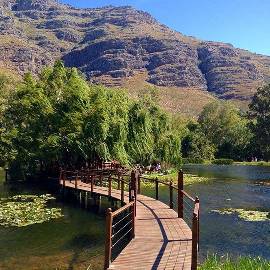 The best restaurants in Stellenbosch wine farms The best restaurants in Stellenbosch wine farms