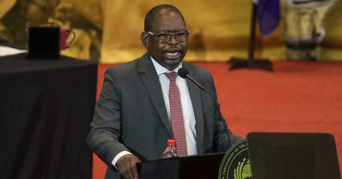 Enoch Godongwana discussed a basic income grant Enoch Godongwana discussed a basic income grant