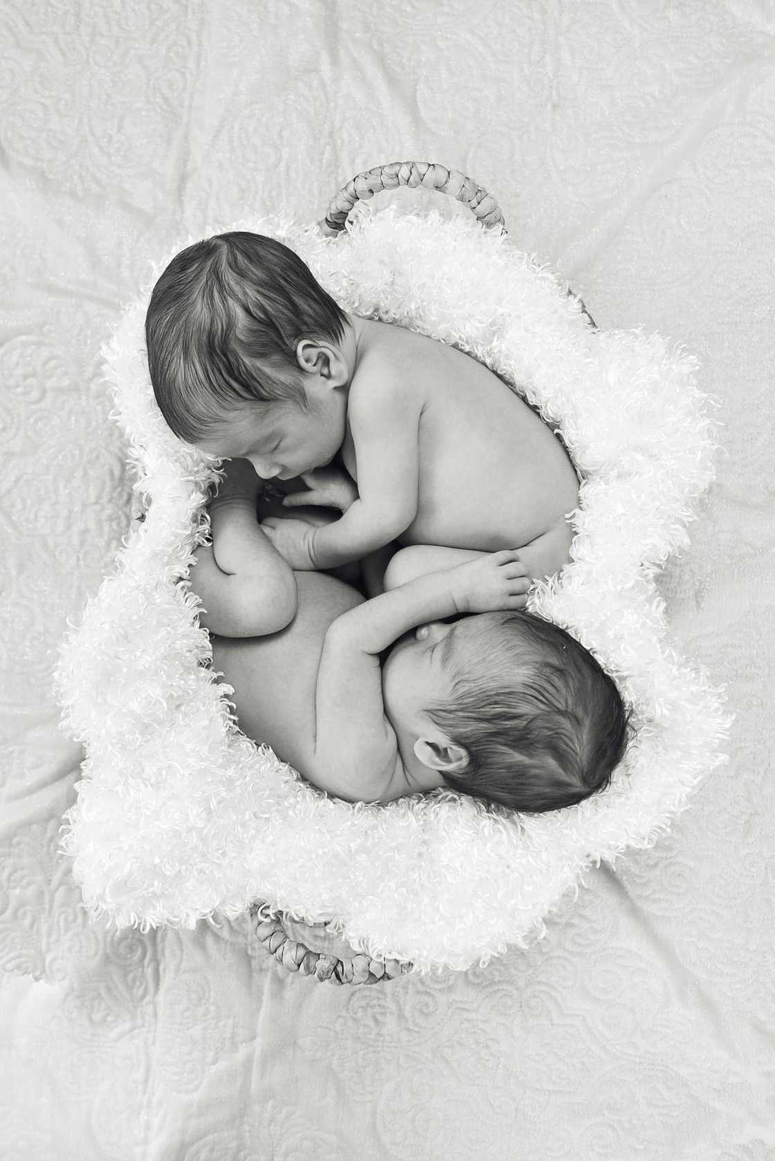 Twins cracked up Mzansi Twins cracked up Mzansi