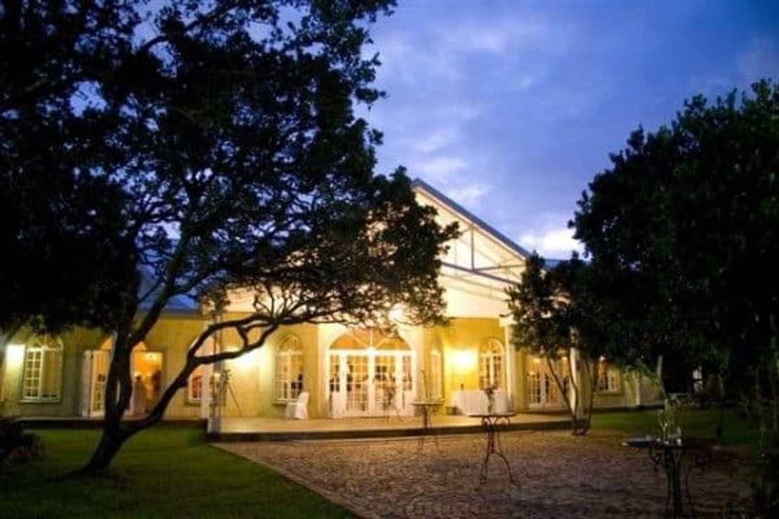 venues in port elizabeth venues in port elizabeth