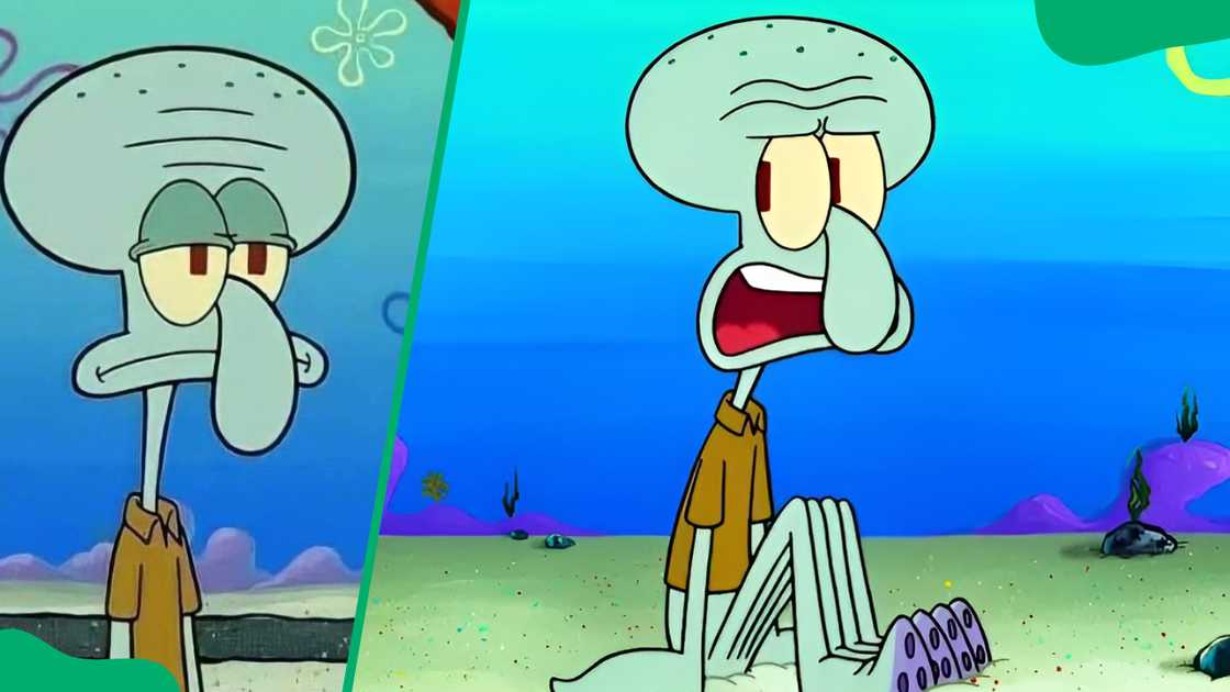 Squidward Tentacles