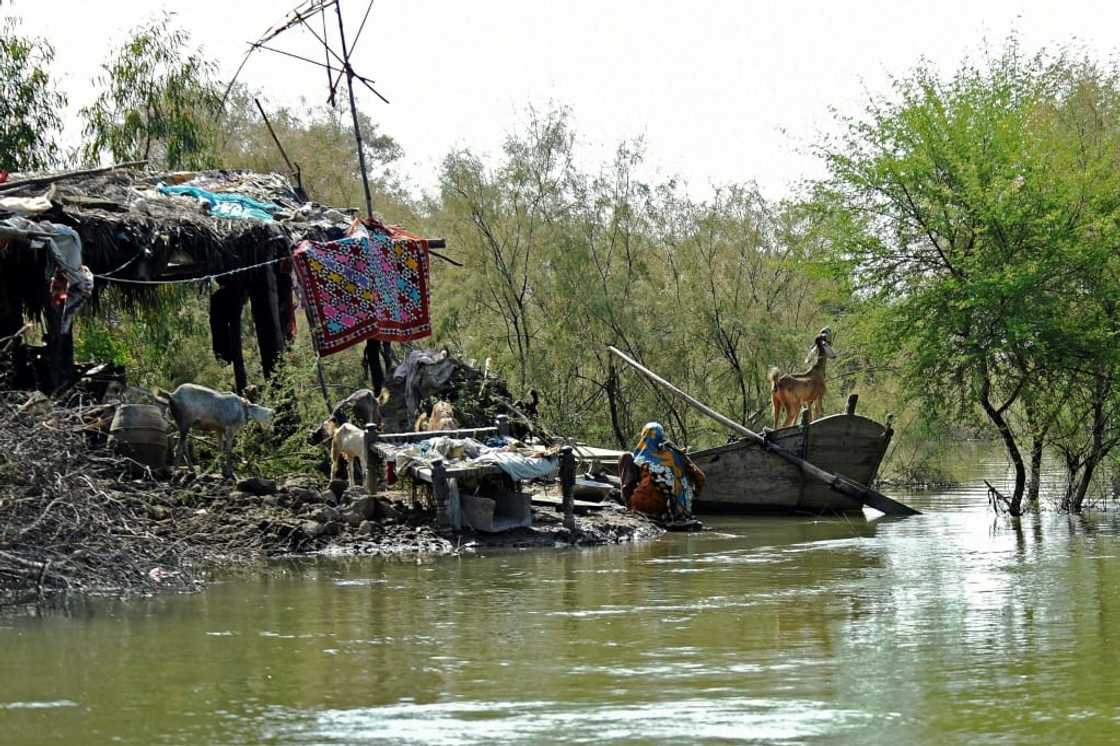 A woman washes clothes in flood waters at a village on the outskirts of Sukkur