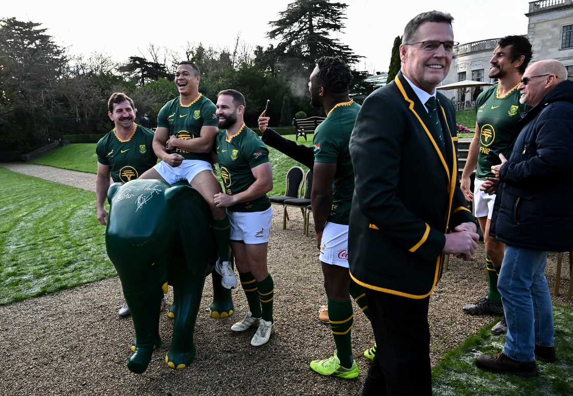 Springboks, South Africa, Rassie Erasmus