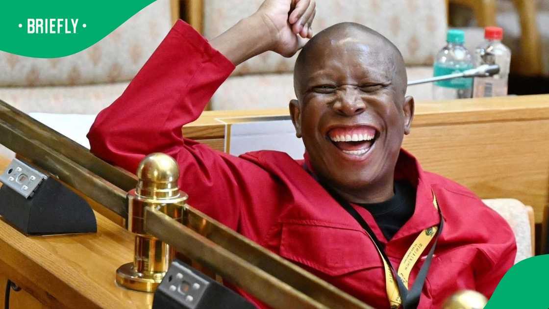 Julius Malema tweeted after he was named in the Madlanga Commission Julius Malema tweeted after he was named in the Madlanga Commission