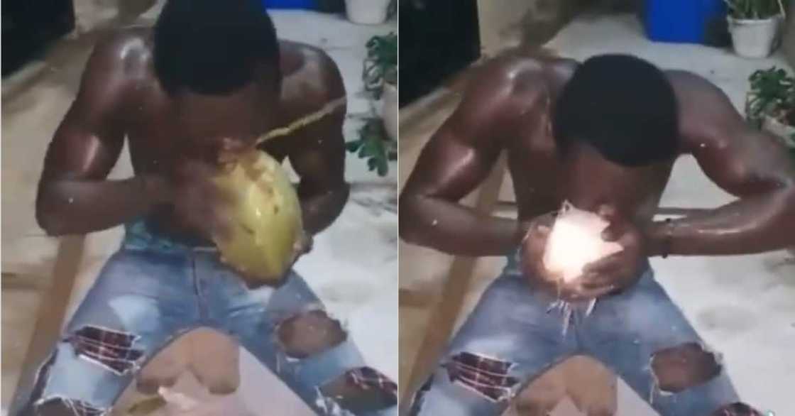 Ghanaian man shows power; peels coconut husk with bare teeth in video Ghanaian man shows power; peels coconut husk with bare teeth in video