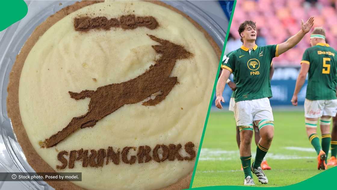 The internet saw a Pick n Pay milktart go viral on Reddit featuring a dusted Springbok emblem, impressing Mzansi with its creative patriotism The internet saw a Pick n Pay milktart go viral on Reddit featuring a dusted Springbok emblem, impressing Mzansi with its creative patriotism