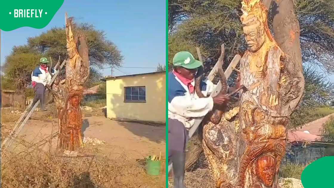 SA artist’s incredible tree carving leaves Mzansi praising his talent SA artist’s incredible tree carving leaves Mzansi praising his talent