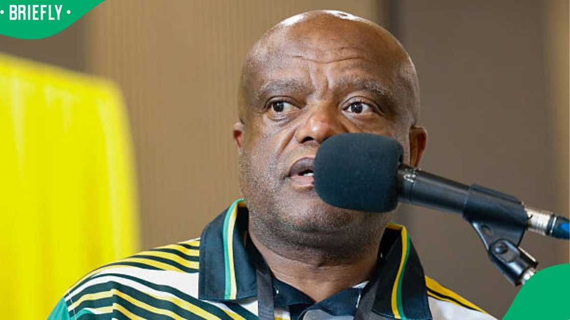 a pic of dada morero