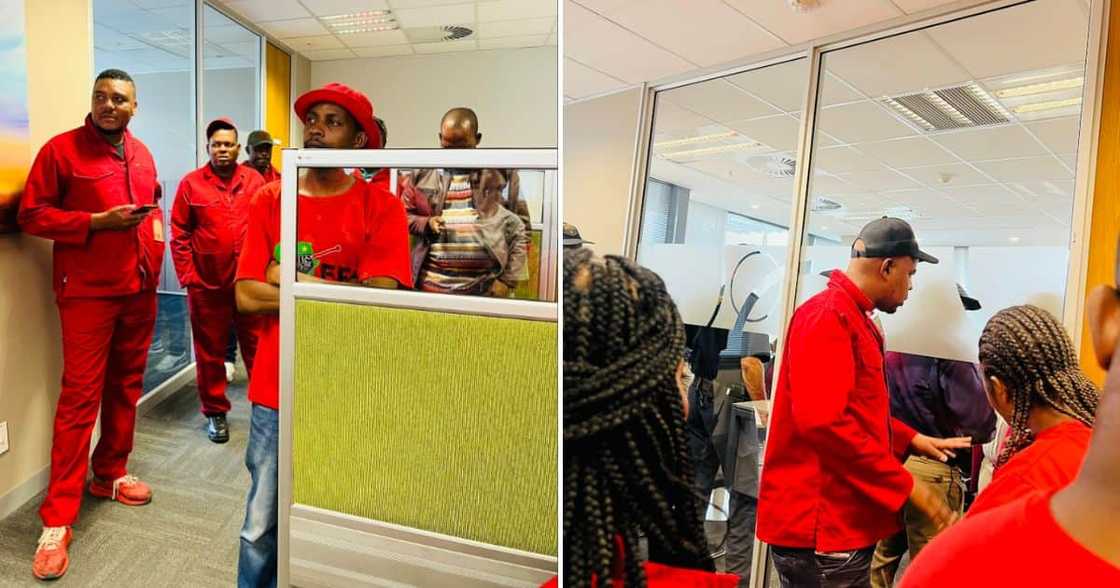 EFF storms Tshwane mayor Randall Williams’ office