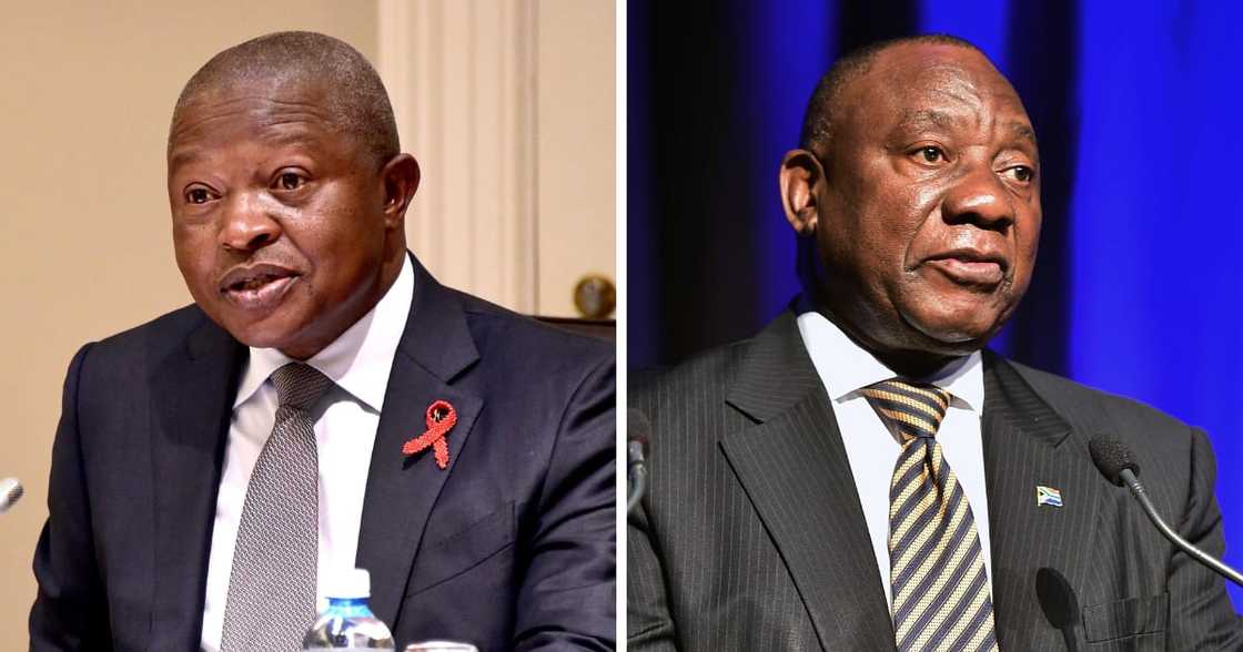 Deputy President, David Mabuza, Cyril Ramaphosa, Farm theft, no need to resign, parliament address