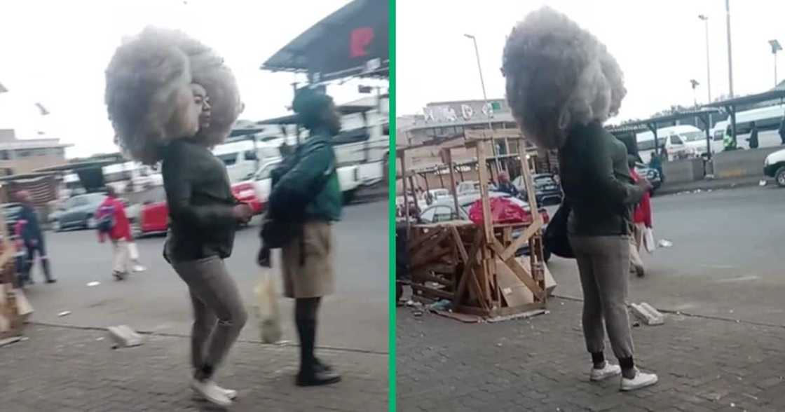 A woman walked around town with a massive afro A woman walked around town with a massive afro