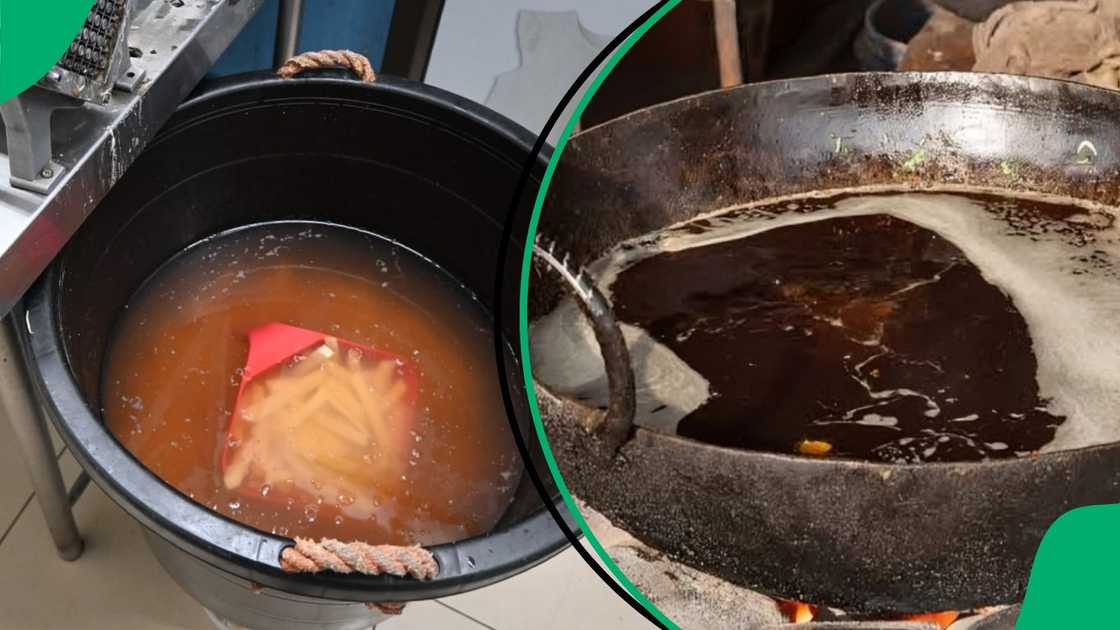 Viral clip shows officials shutting down Joburg eatery after blackened used oil uncovered