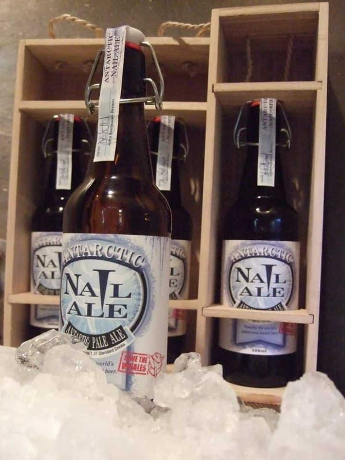 Most expensive beers in the world today Most expensive beers in the world today