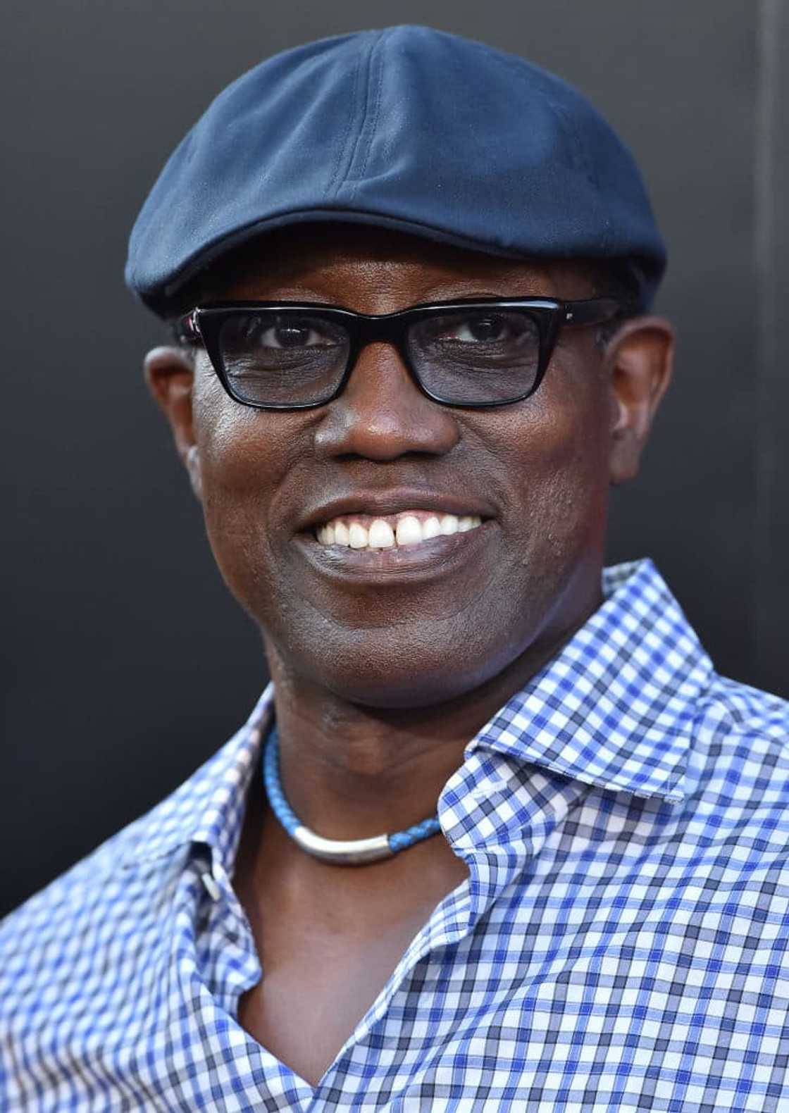 Does Wesley Snipes have a wife? Does Wesley Snipes have a wife?
