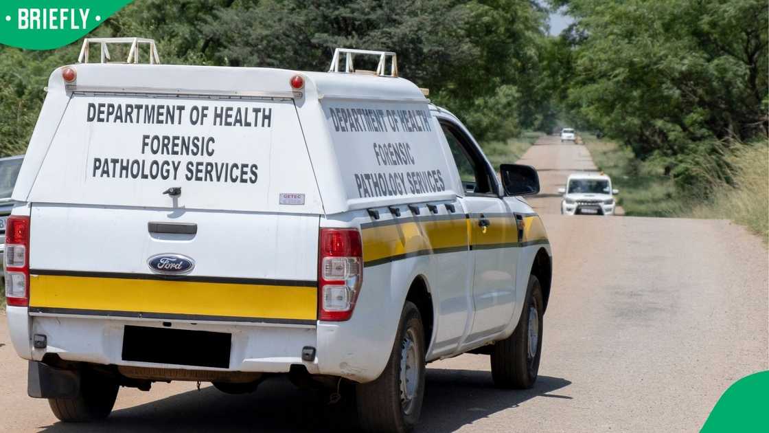 Forensics will be done to determine if the bones are human