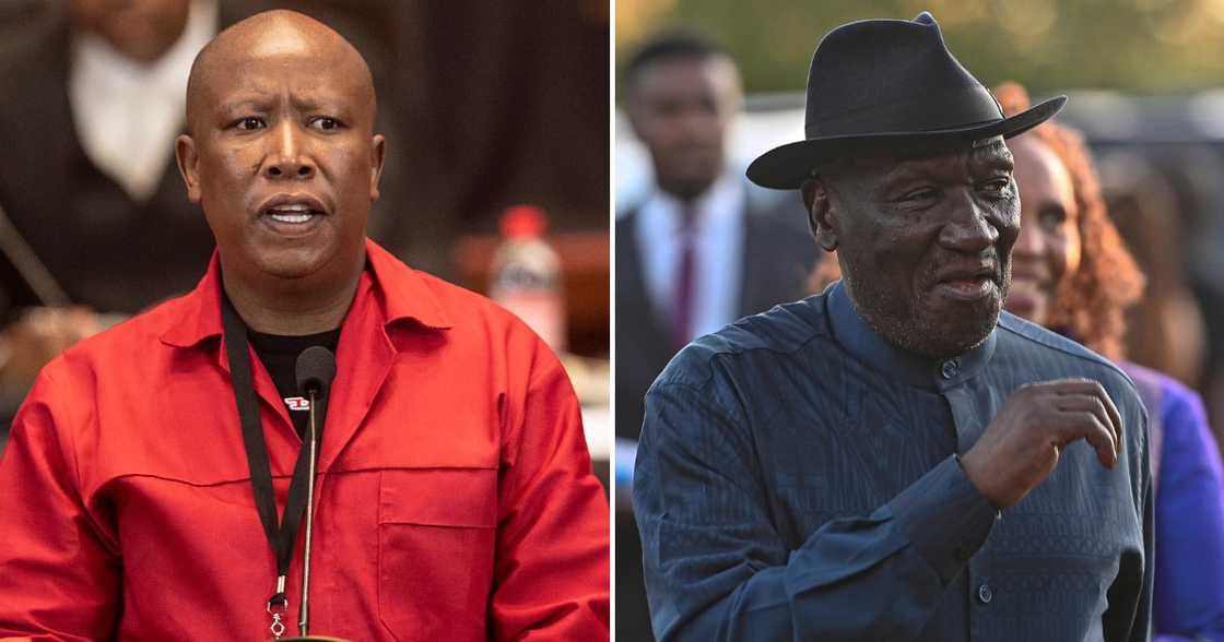 EFF Julius Malema involves Bheki Cele in assassination plot allegations EFF Julius Malema involves Bheki Cele in assassination plot allegations