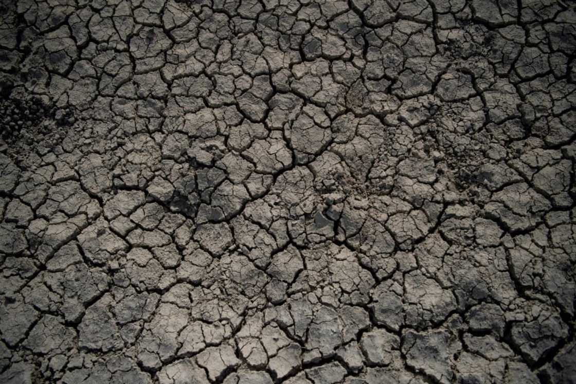 Greenpeace estimates that 75 percent of the country is susceptible to desertification Greenpeace estimates that 75 percent of the country is susceptible to desertification