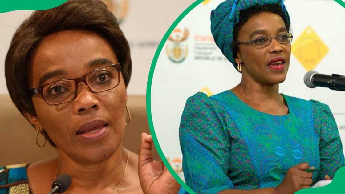 Sindisiwe Chikunga's pictures Sindisiwe Chikunga's pictures