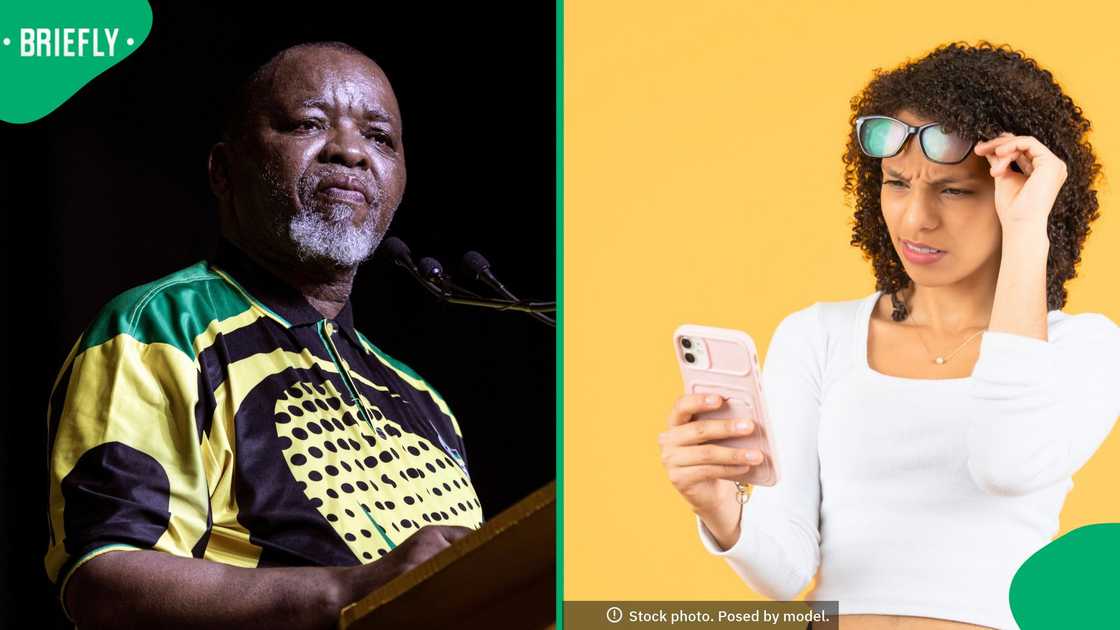 Gwede Mantashe has compared the ANC to the Biblical David