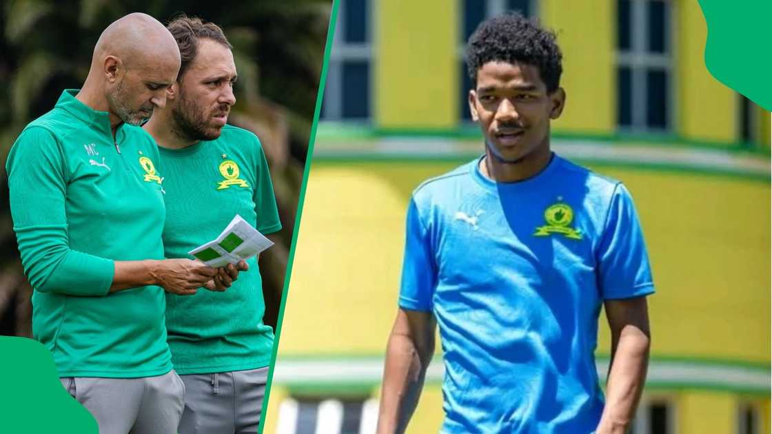 Mamelodi Sundowns coach Miguel Cardoso is a fan of new signing Jayden Adams. Mamelodi Sundowns coach Miguel Cardoso is a fan of new signing Jayden Adams.