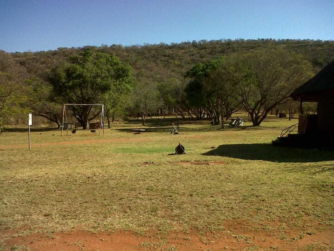 cheap camping sites in gauteng