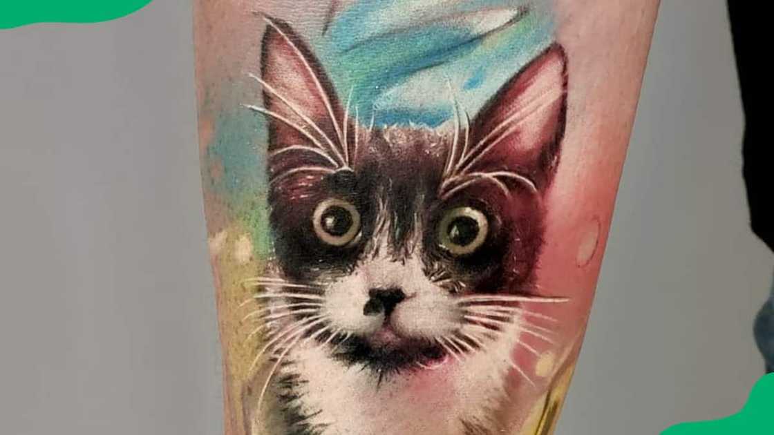 Realistic cat tattoo