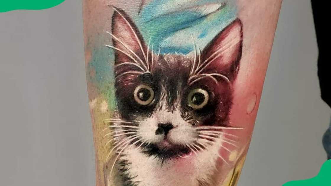 Realistic cat tattoo Realistic cat tattoo