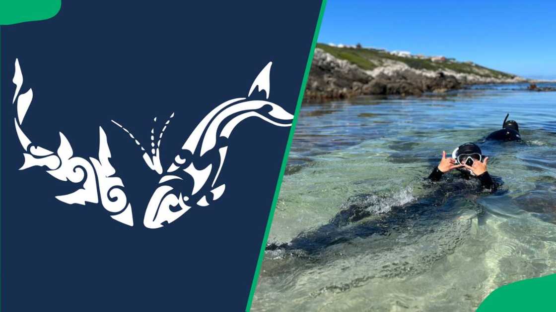 volunteer organizations in South Africa volunteer organizations in South Africa