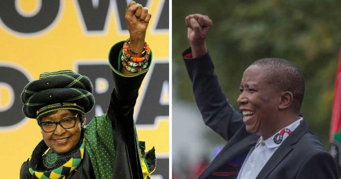 Struggle stalewart Winnie Madikezela Mandela and EFF's Julius Malema