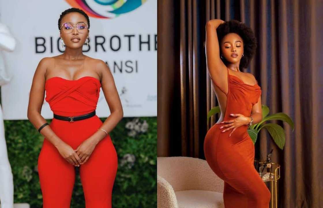 Lungelo Mpangase's background Lungelo Mpangase's background