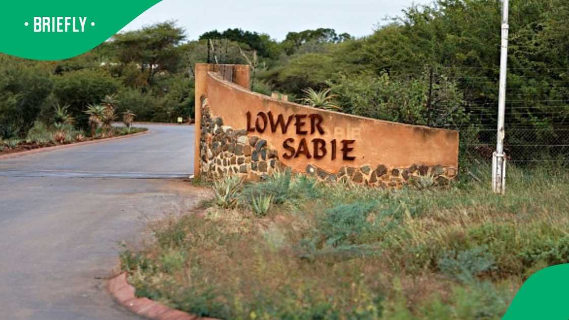 Kruger National Park prices for accommodation can be accessible