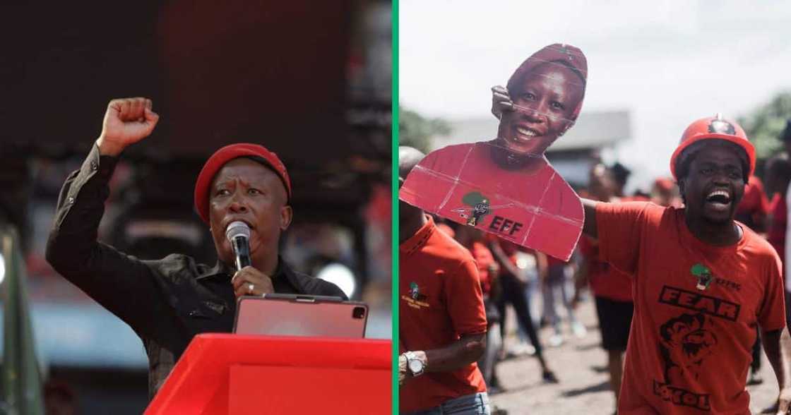 Julius Malema delivers EFF manifesto with mishap Julius Malema delivers EFF manifesto with mishap