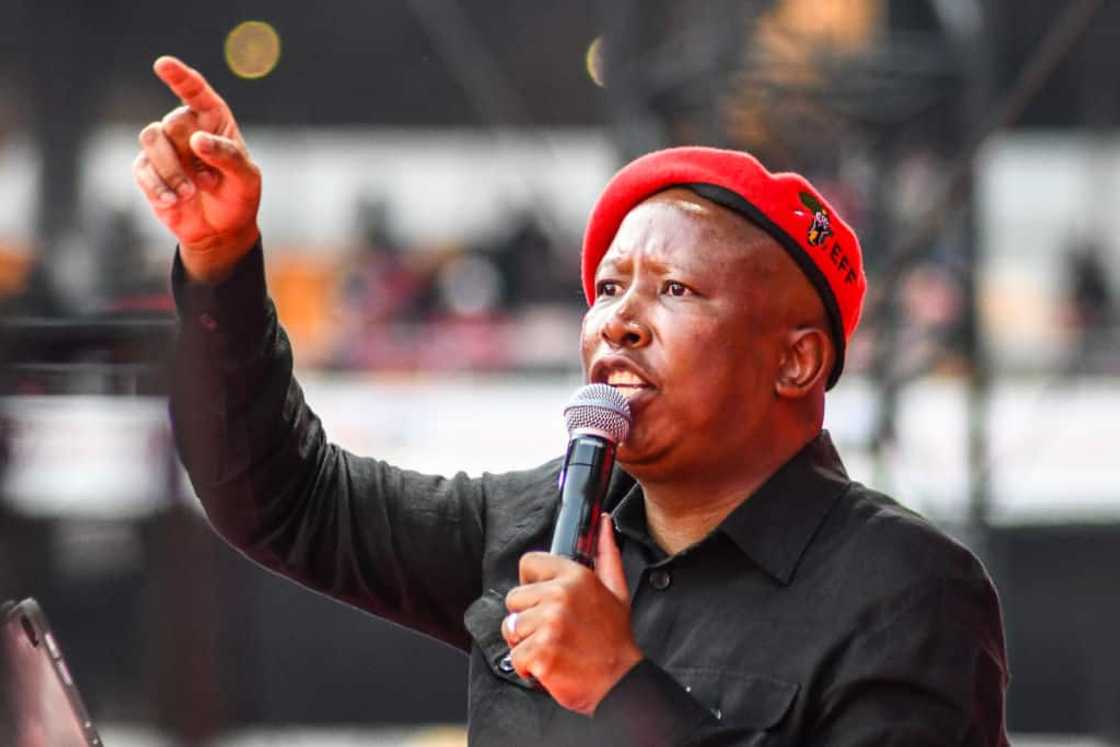 Julius Malema wants to help the July Unrest convict Julius Malema wants to help the July Unrest convict