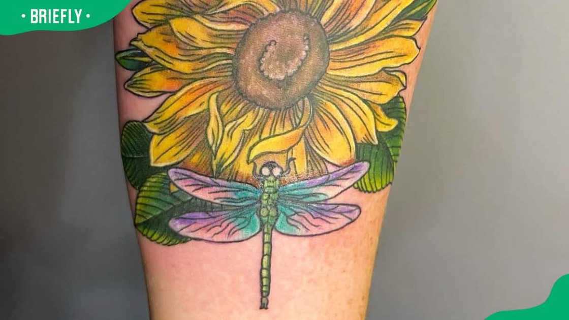 Sunflower dragonfly tattoo Sunflower dragonfly tattoo