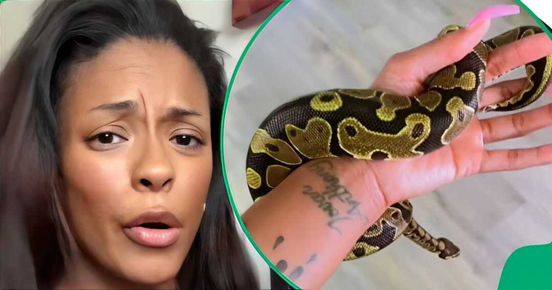 Son scared TikTok with pet snake