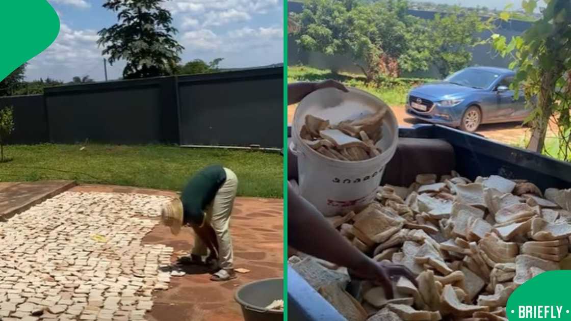 The visual on the right captured multiple slices of bread in a bakkie The visual on the right captured multiple slices of bread in a bakkie