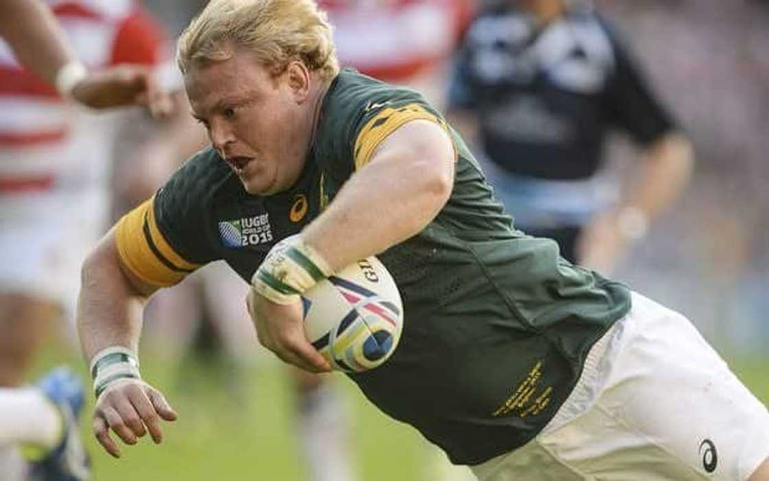 Retired Cheetahs and Bulls hooker Retired Cheetahs and Bulls hooker