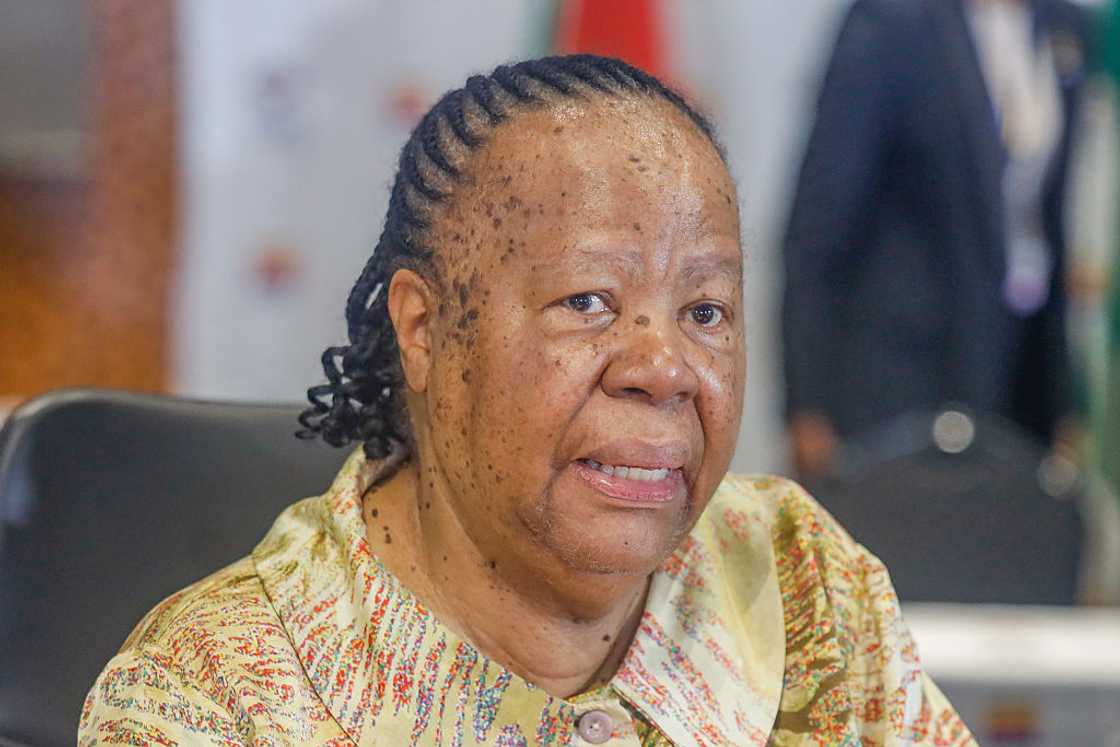 Naledi Pandor's visa to the United States has been revoked Naledi Pandor's visa to the United States has been revoked