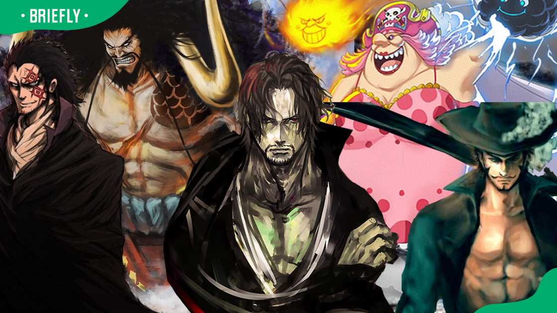 One Piece combatants using haki